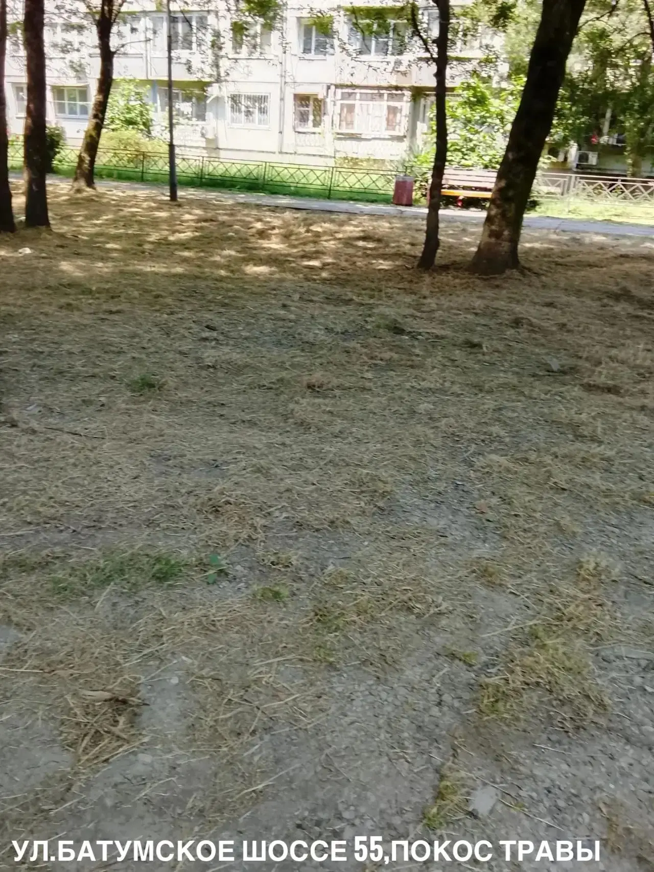 Еженедельный отчет.Часть 2 📸