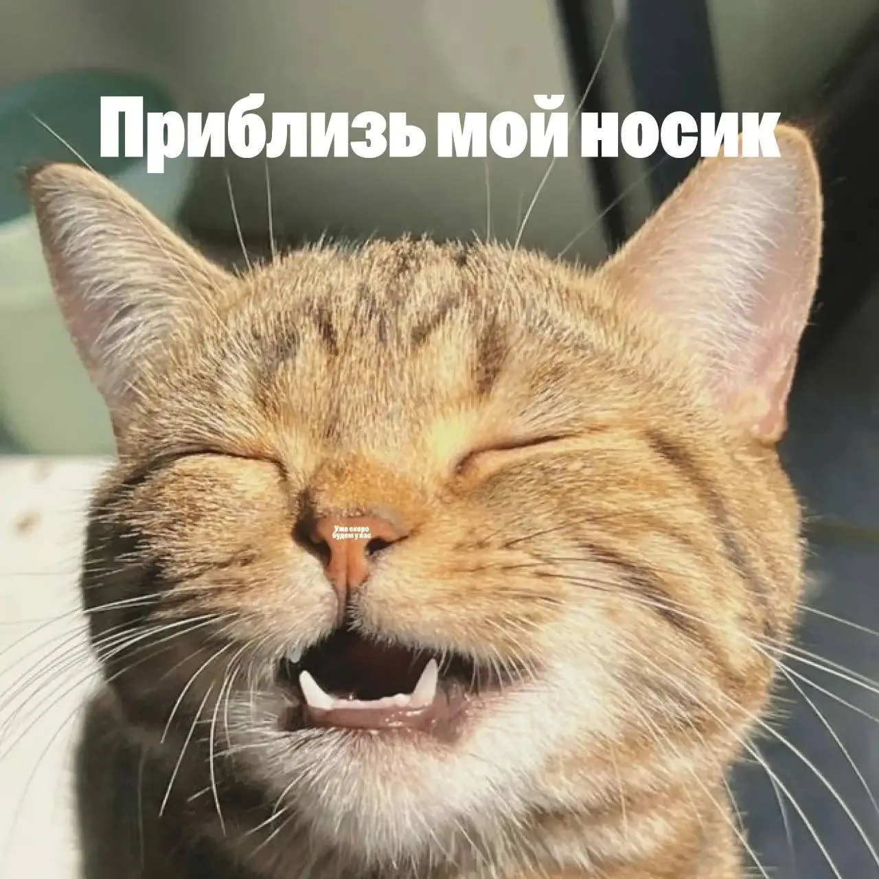 Подведем итоги нашей недели 🎈