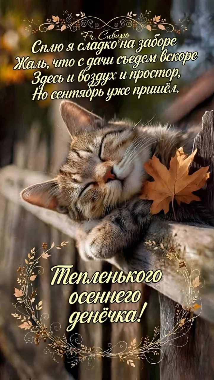Хорошего теплого денька