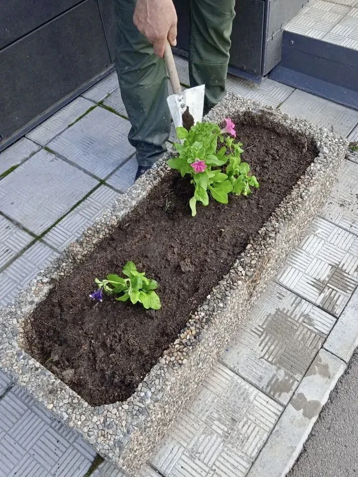 Мы продолжаем высадку цветов на придомовых территориях жилых комплексов 🌸