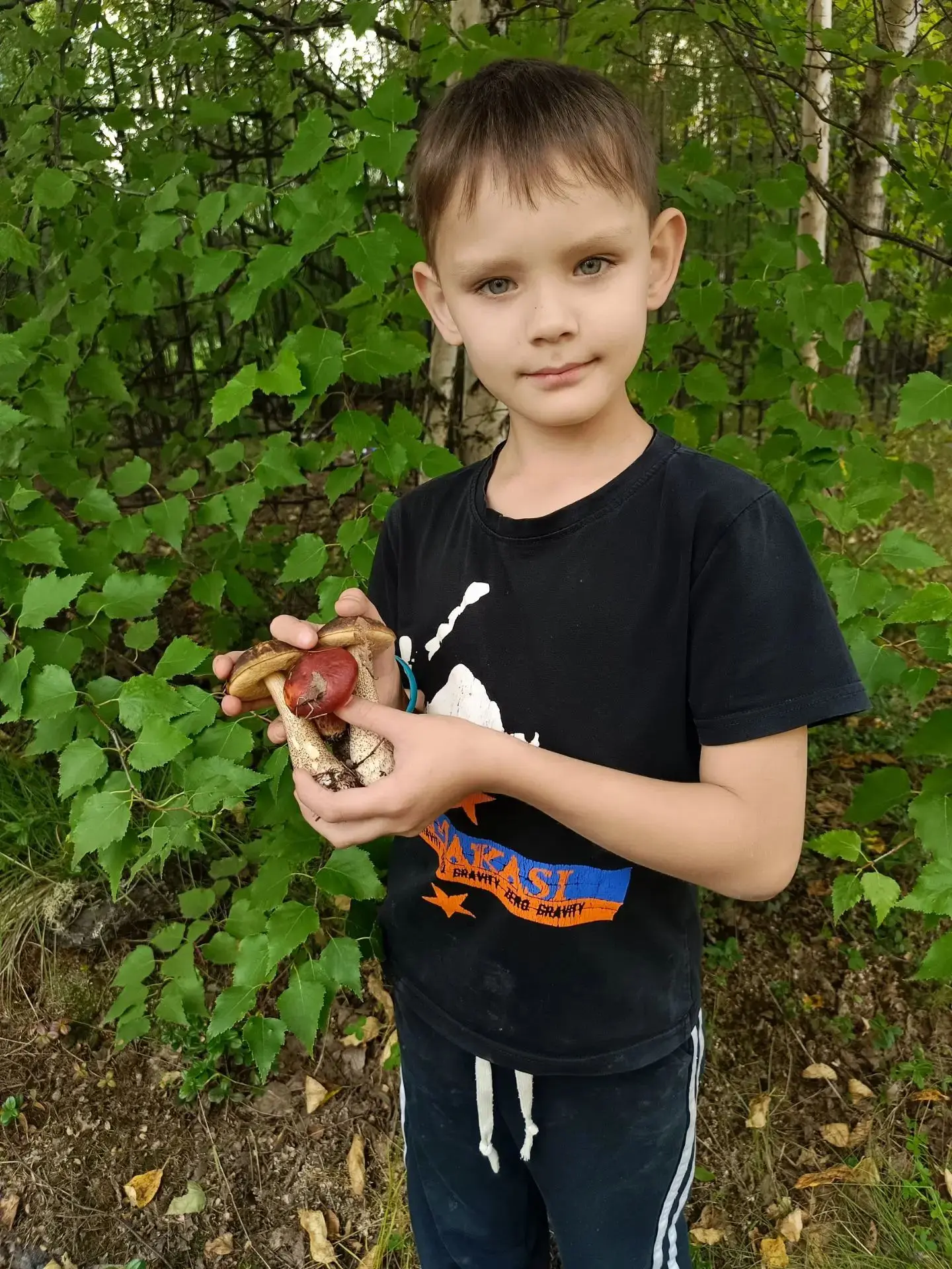 🍄 Неожиданная находка на территории Центра! 🍄