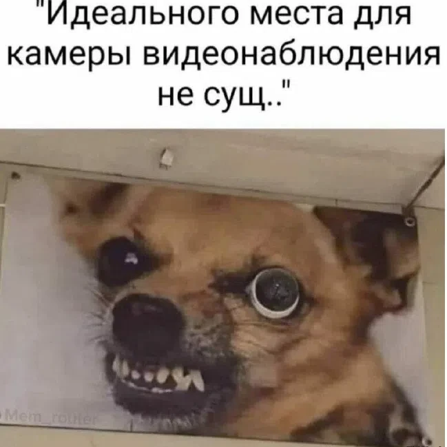 Подпишись на юмор 😂