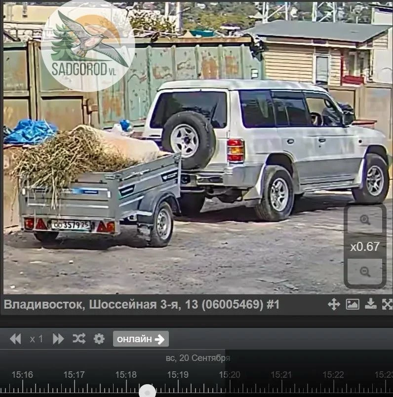 Внимание, Садгород!