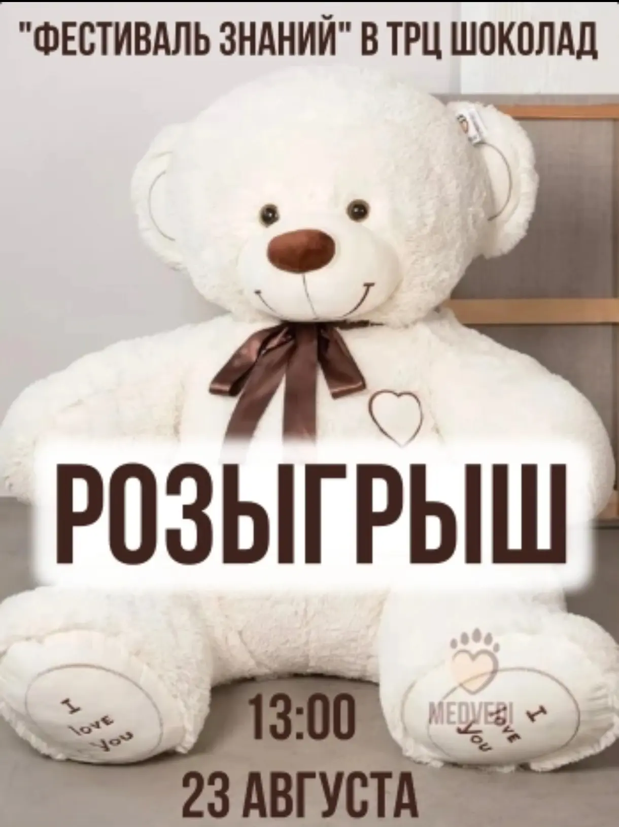 🧸 Розыгрыш большого плюшевого медведя на фестивале знаний в ТРЦ «Шоколад»!