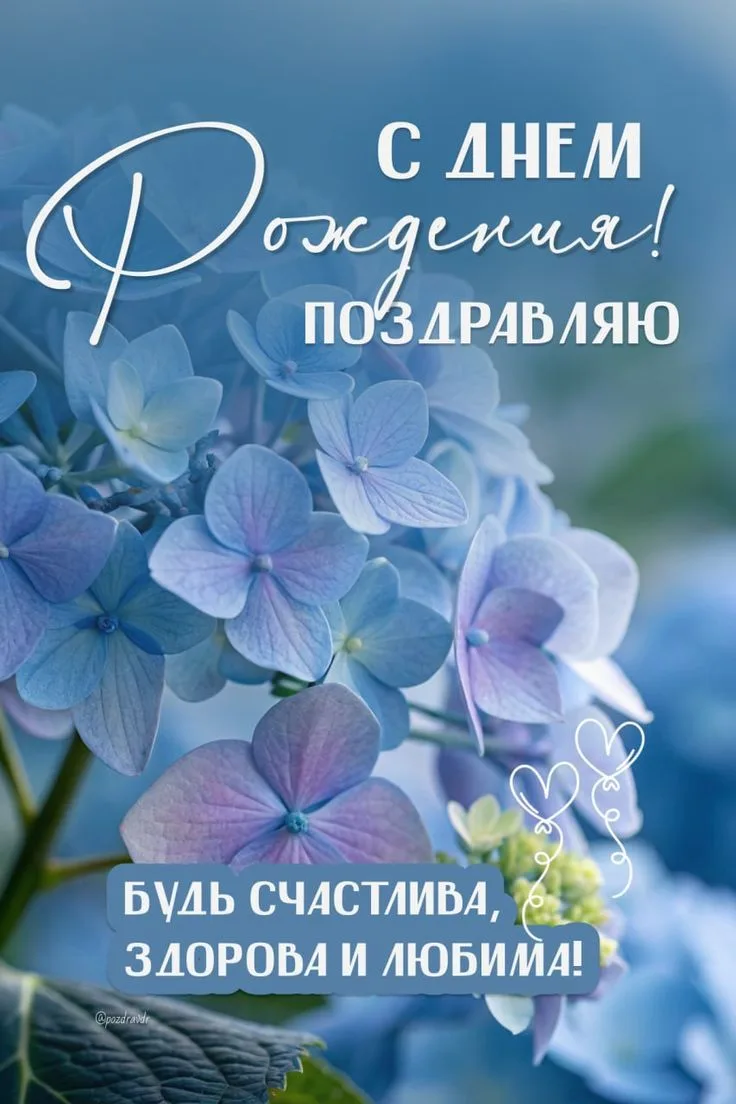 Подпишись 👇