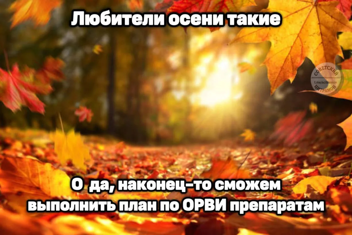 У вас адекватные планы в середине сезона?)