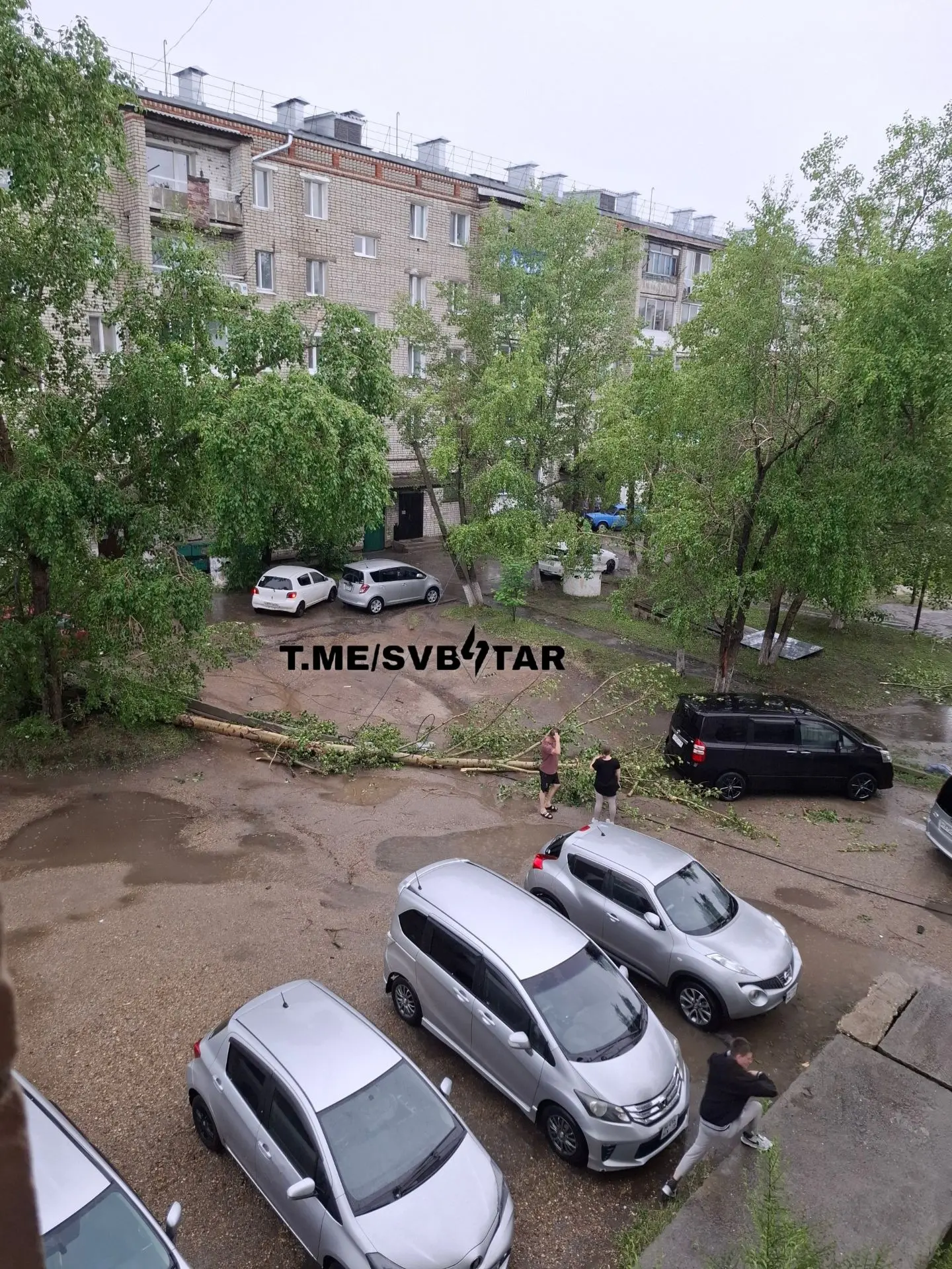 По адресу Чубаровых, 57 зафиксировано падение тополя, что привело к обрушению опоры лин...
