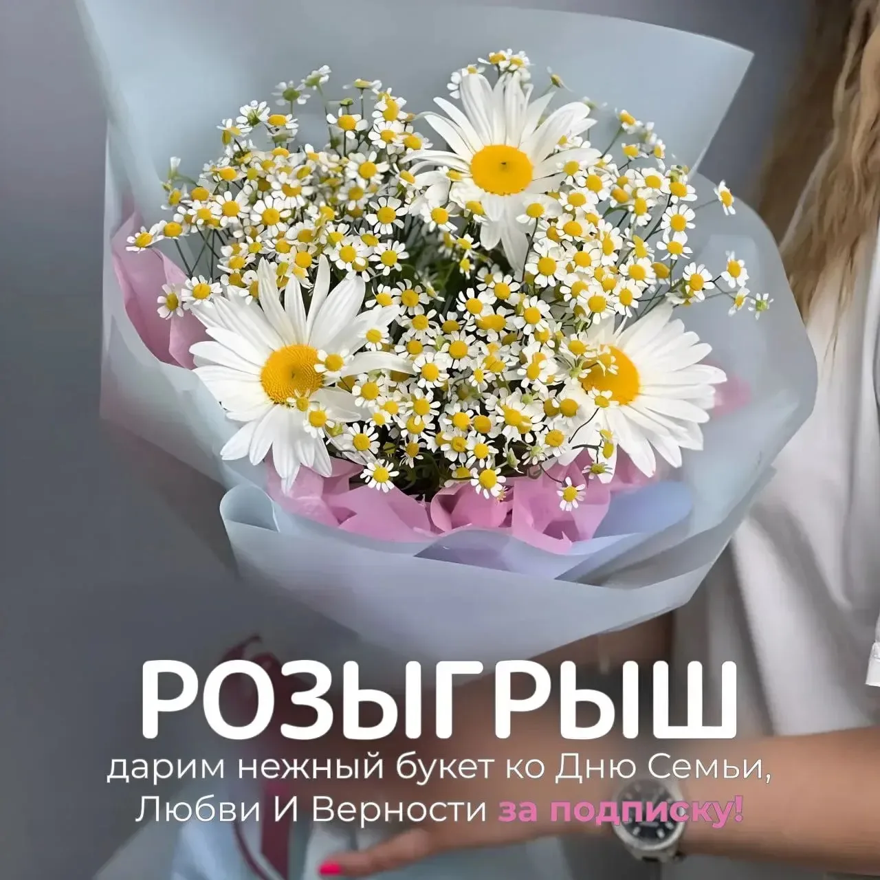 Дарим букет ромашек ко Дню Семьи, Любви и Верности за подписку! 🤍