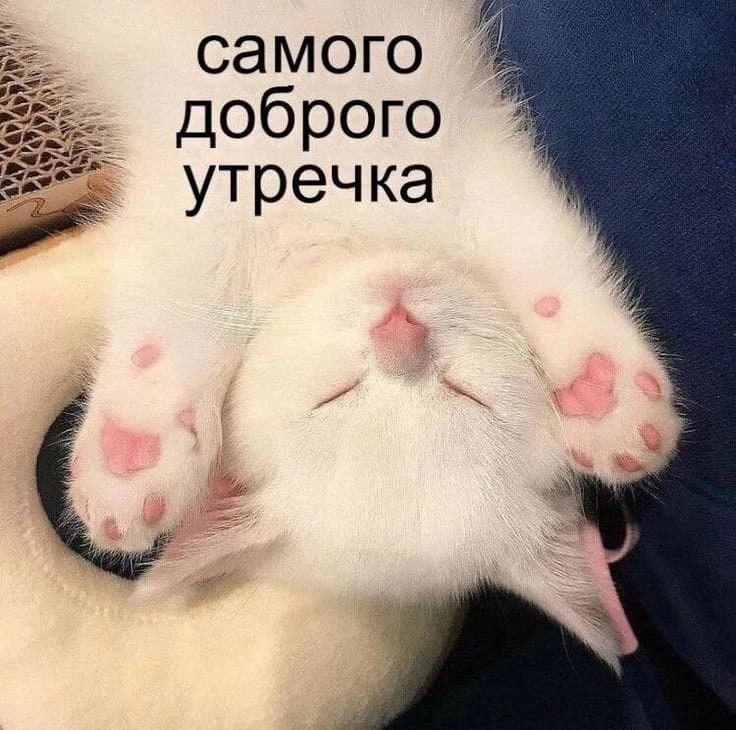 Выходныеееее 🥳😉