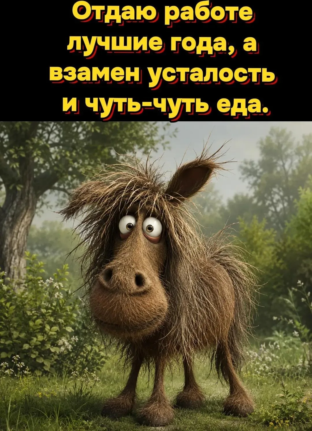 Продам молодость, отличную осанку и горящие глаза. Цена: 1 гречка, 2 сосиски и бессрочная абонентска