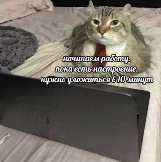 😂😂😂