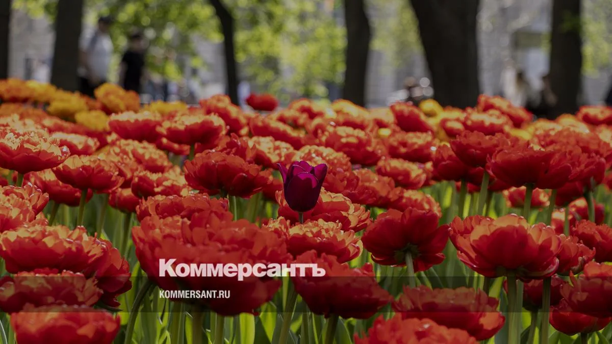 Новороссийск направит 50 млн ₽ на 15 инициативных проектов 💸