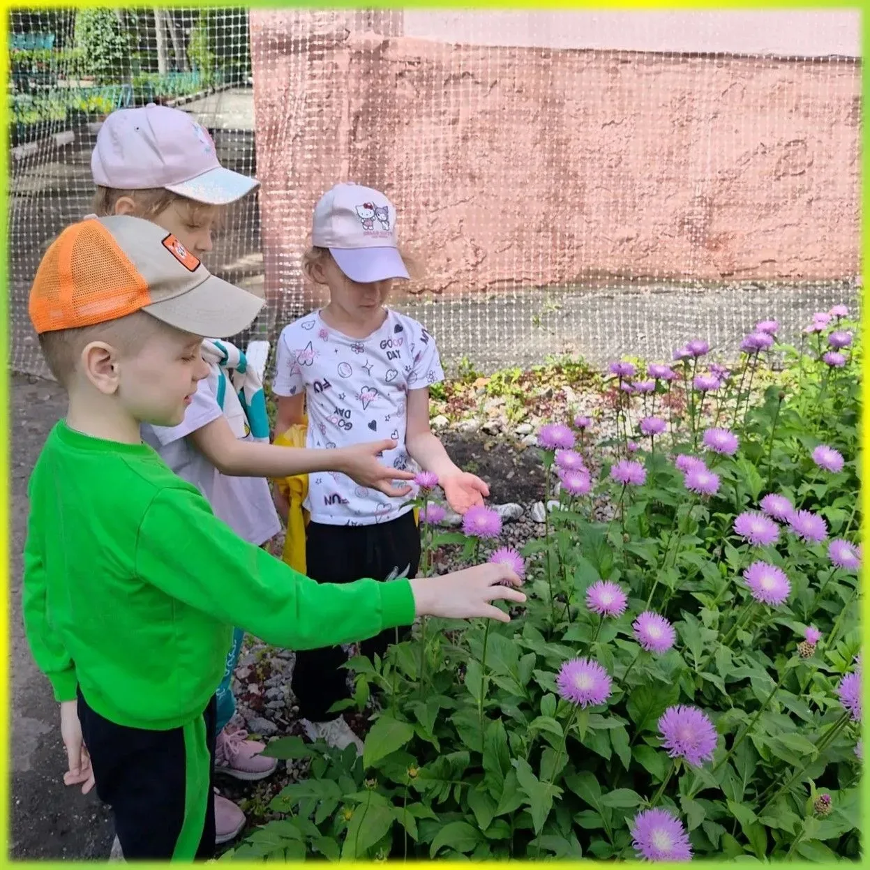 🐞«На полянке»🌱

🌞 В тёплый летний день мы с ребятами отправились в путешествие по луговым растени