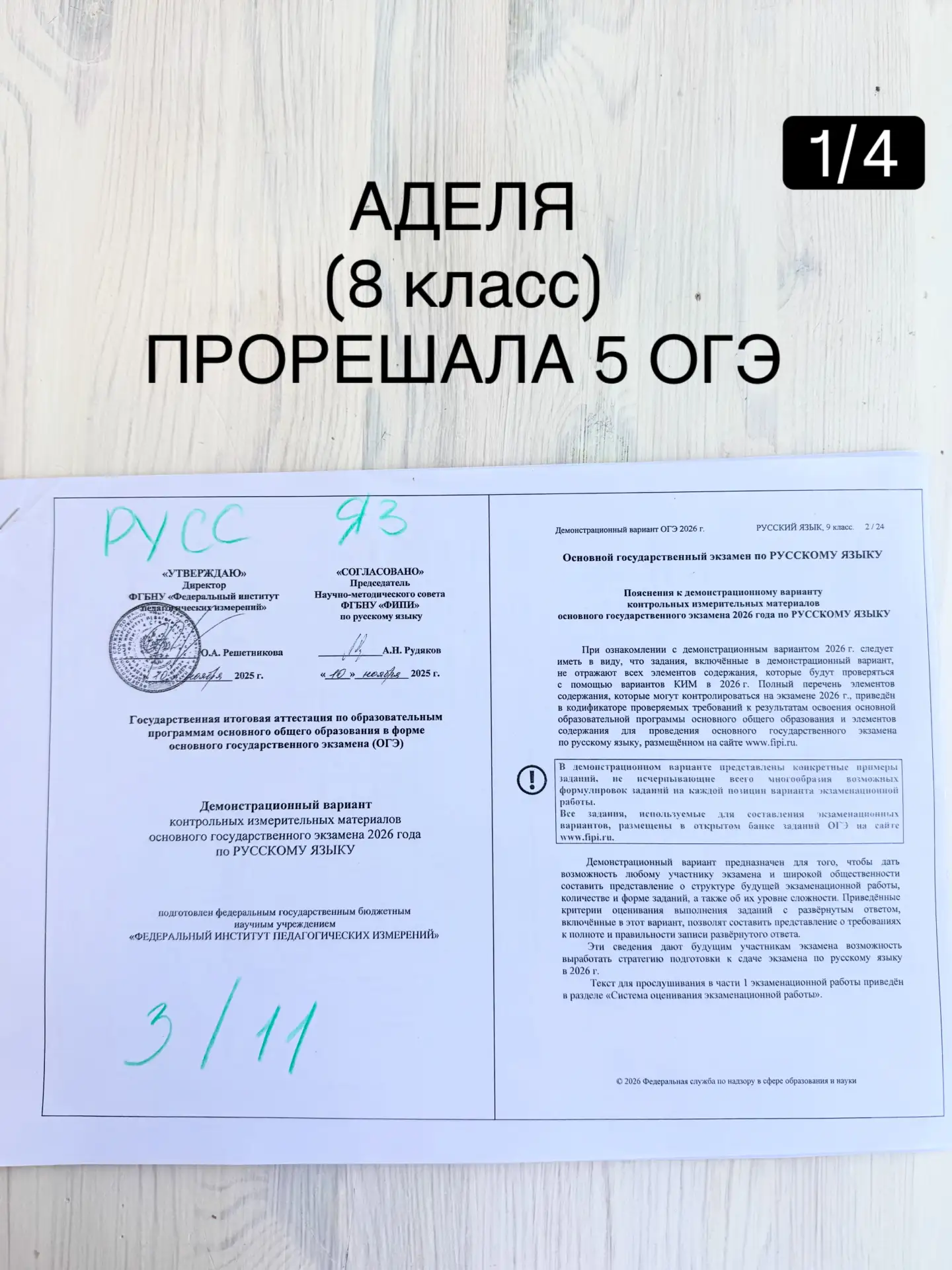 Аделя прорешала ОГЭ и вот результаты: