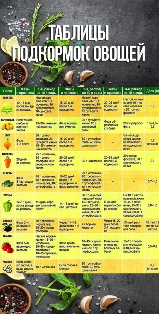 Чем и когда подкармливать овощи, чтобы урожай радовал до самой осени? 🍅🥕