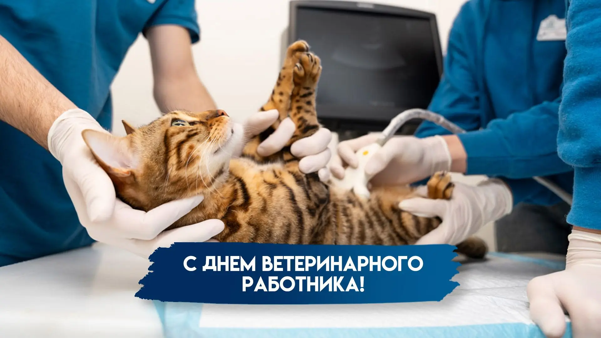 День ветеринарного работника