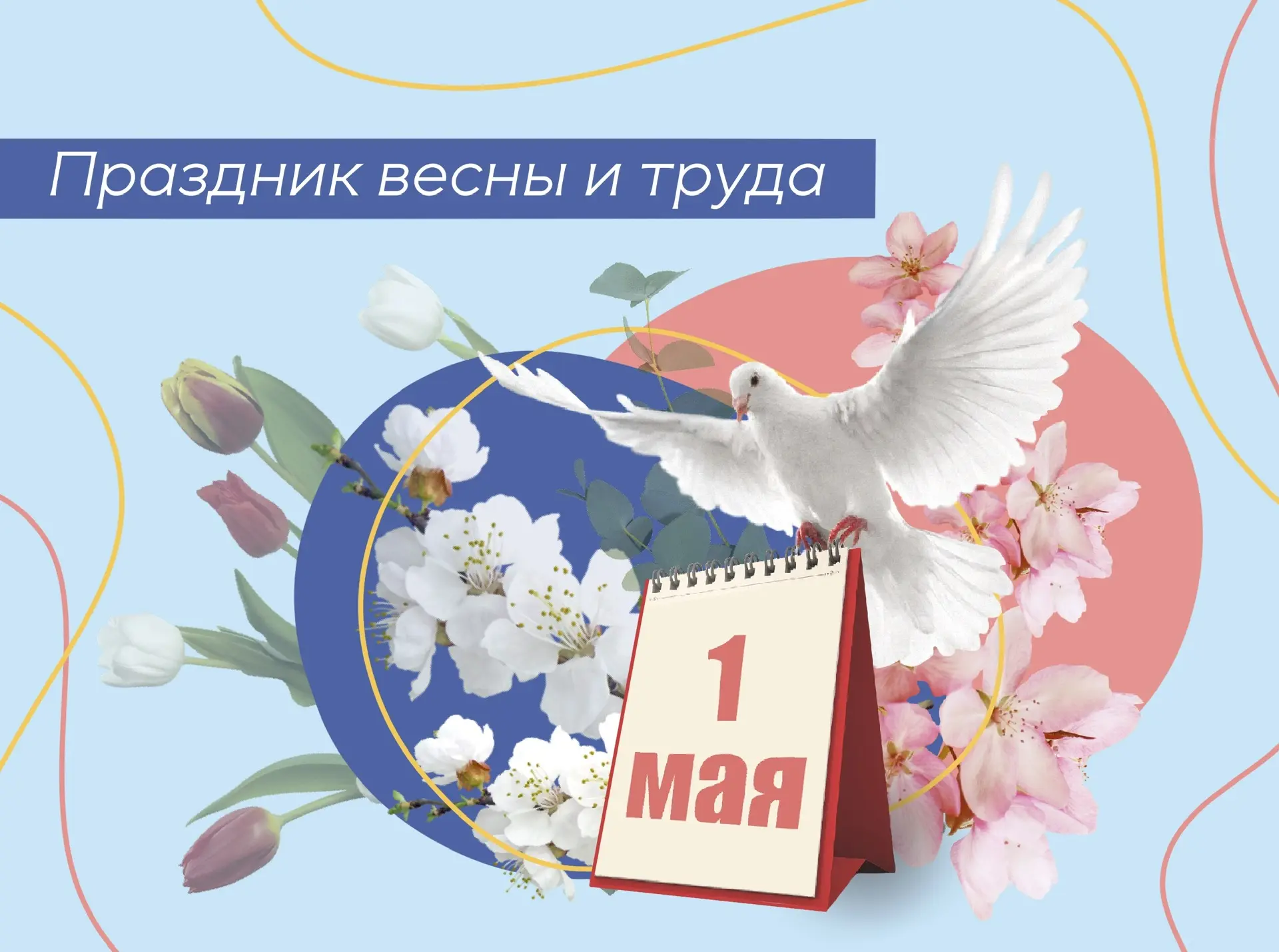 Дорогие преподаватели и студенты!🙌

Сердечно поздравляем вас 
с 1 мая — Днём весны и труда! 🌸
Этот