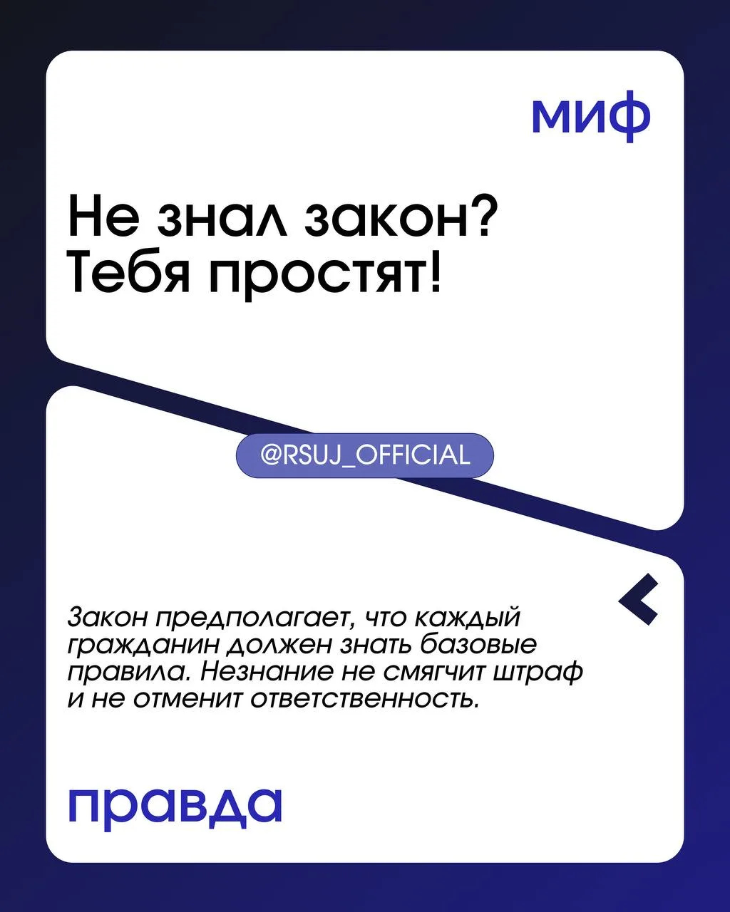 ТЫ Ж ЮРИСТ 🥸  Разоблачаем мифы о юридической деятельности!  А с какими стереотипами сталкивались вы?