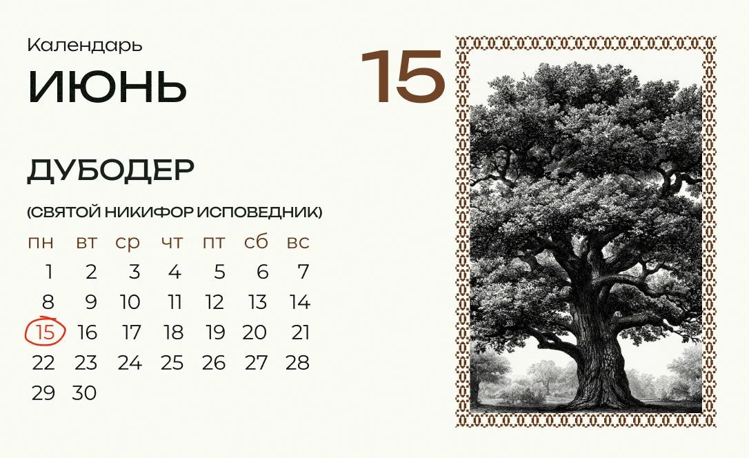 Сегодня Никифор-дубодер!

В этот день собирали целебную кору, которой до сих пор лечат многие болезн