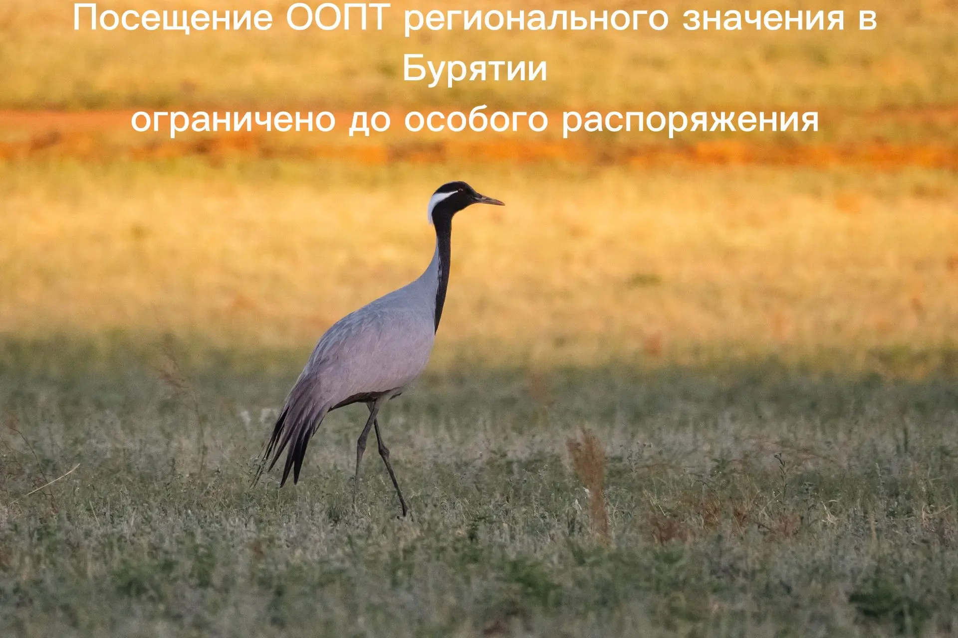 📢 Напомним, что действует ограничение на посещение всех ООПТ регионального значения в ...