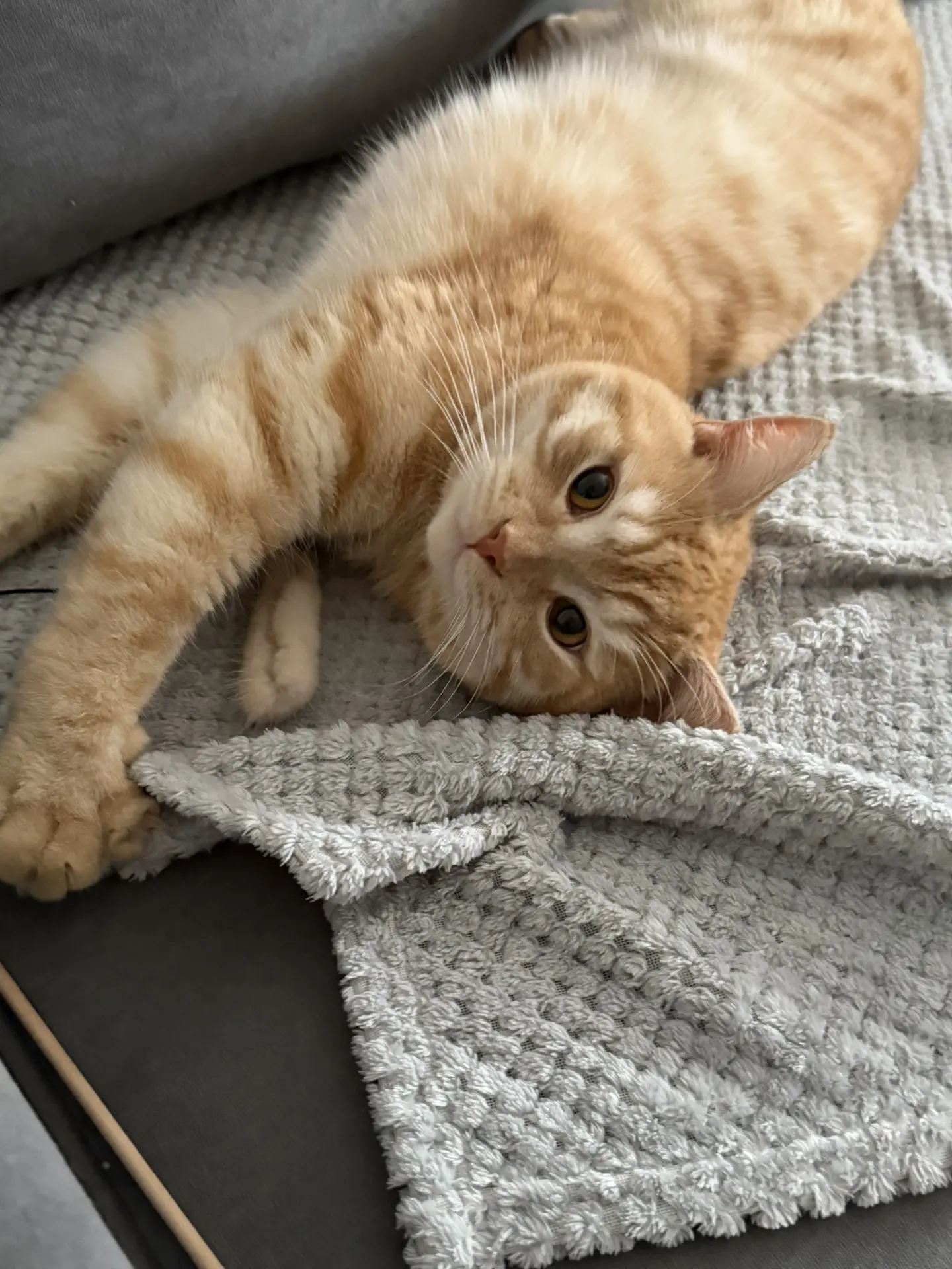 Всем доброй ночи мои милые 🥰