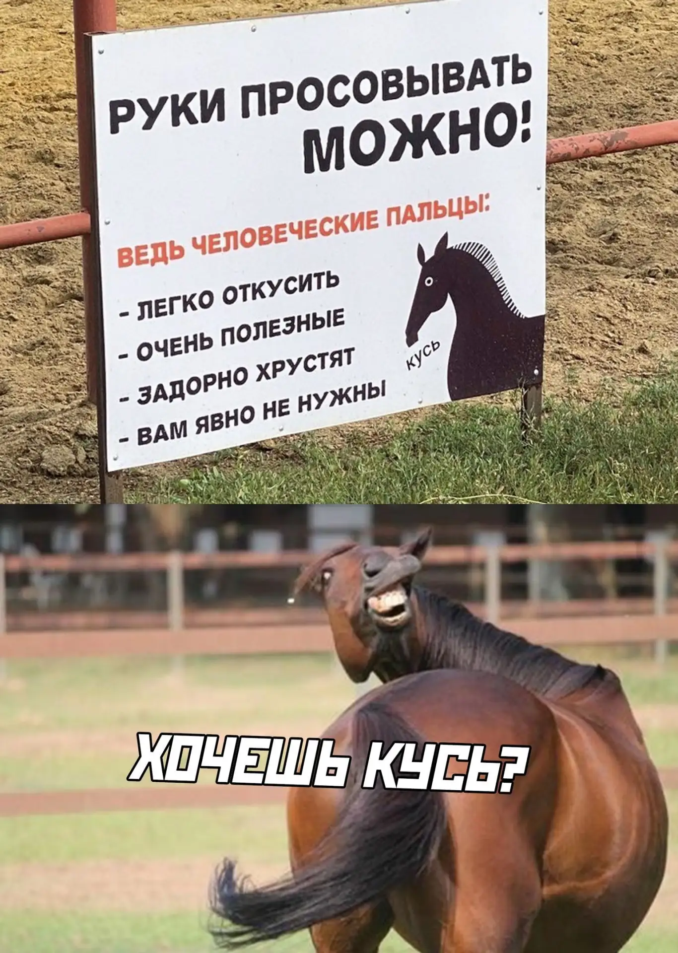 Смешно?😃 Жми лайк, пока не забыл. А подписка — чтобы не потерять того, кто поднимает т...