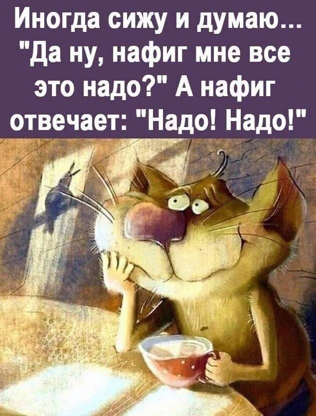 Всем доброе утро! Вчера давление поднялось ни с того, ни с сего. Голова болела весь веч...