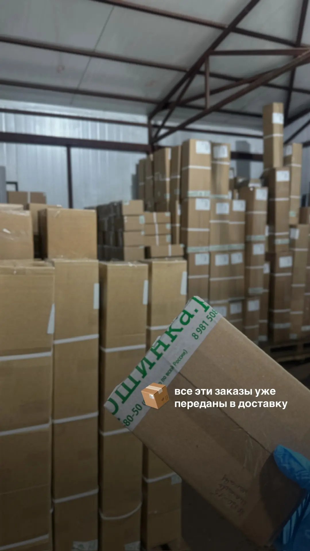 Прямое включение с производства 📸 Очень много посылок с хвойными собрали и отправили сегодня 🌲💚  АКЦ