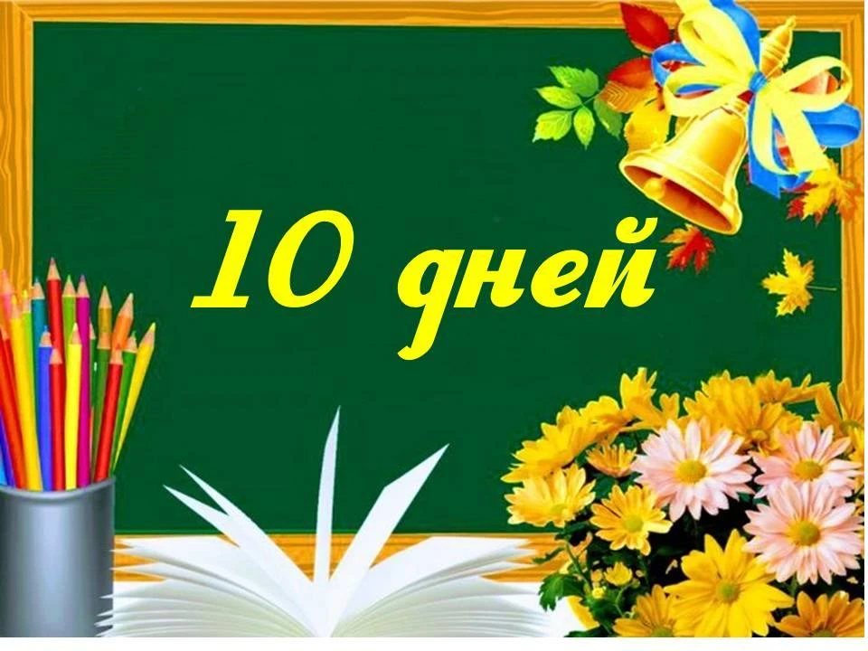 🍉Успейте насладиться летом! До Дня знаний — 2026 осталось 10 дней