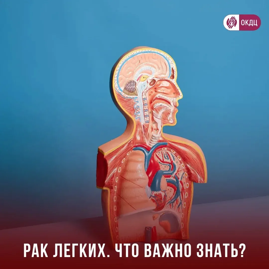 Рак легких: что важно знать каждому!