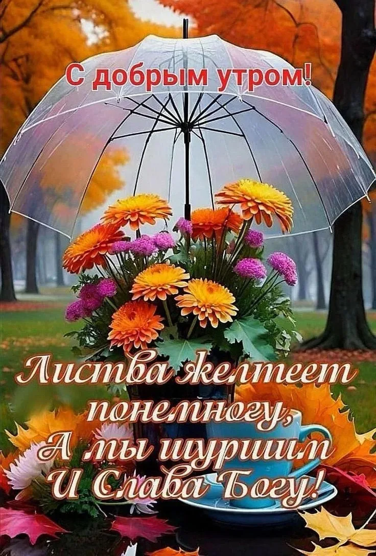 МАМИНЫ ОТКРЫТКИ