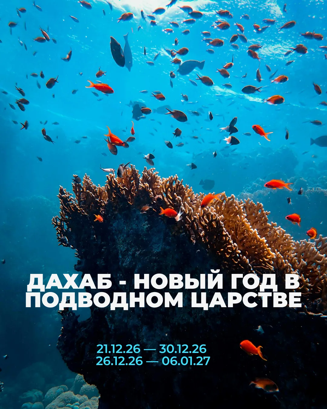 🎄 А что, если в этом году встретить Новый год… под водой?