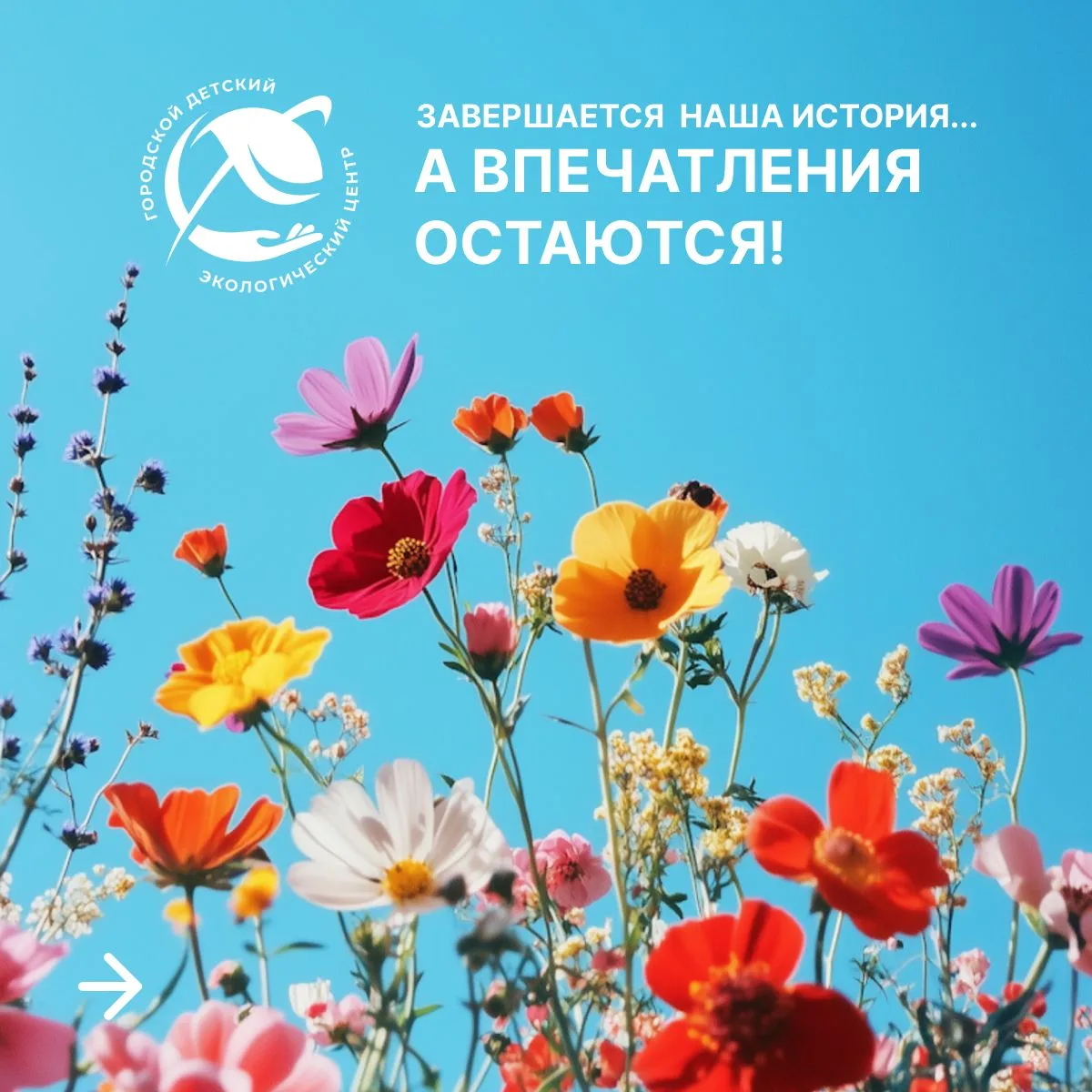 💚 Вот и завершилась смена экологического лагеря «Живая планета»…

Эти дни были наполнены шелестом л