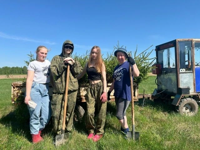 Акция «Деревья вместо шаров»♻️ ☘️В Ярославской области стартовала экологическая акция, которая меняе