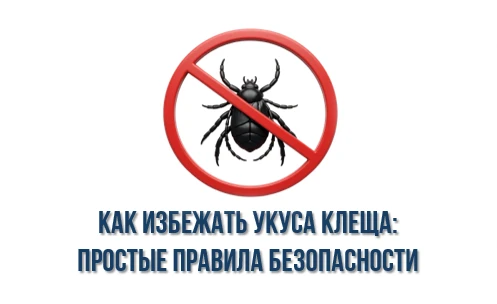Летом активизируются клещи – переносчики опасных заболеваний (энцефалита, боррелиоза и ...