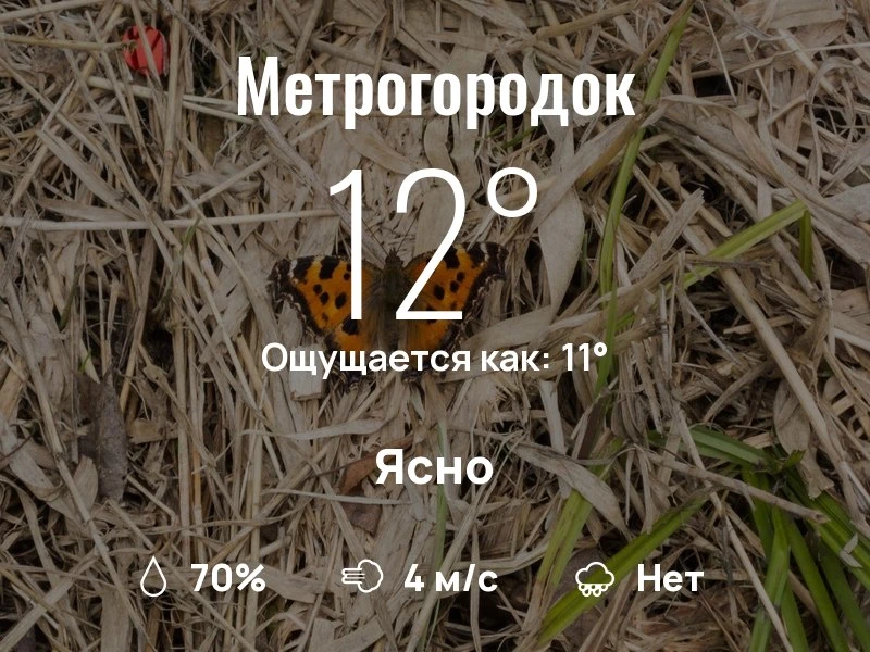 Что с погодой в Метрогородке?