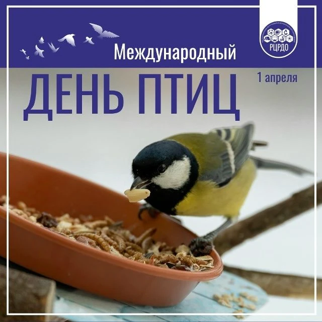 Сегодня, 1 апреля, отмечается Международный день птиц - добрый и светлый праздник, который напоминае
