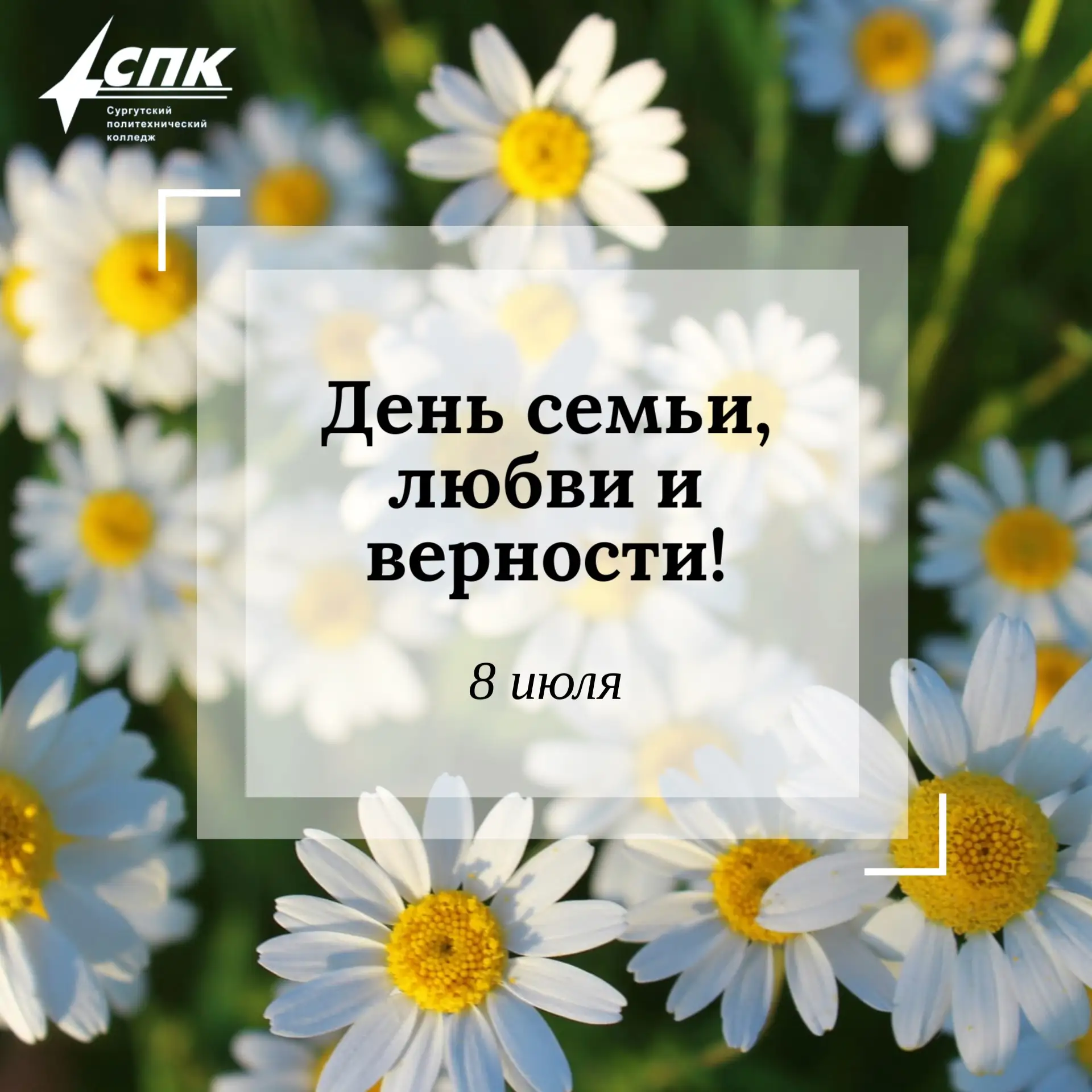 Дорогие друзья, поздравляем вас с Днём семьи, любви и верности!🤍