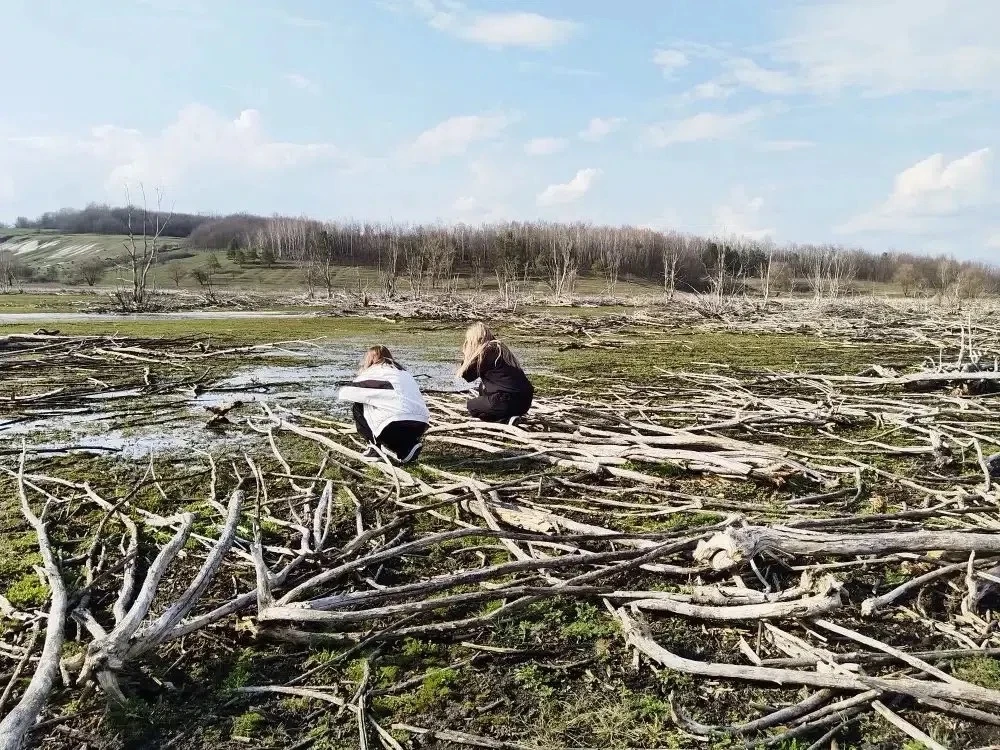 🗓 7 июня — Международный день очистки водоёмов!

Этот день отмечают во всём мире, чтобы привлечь вн