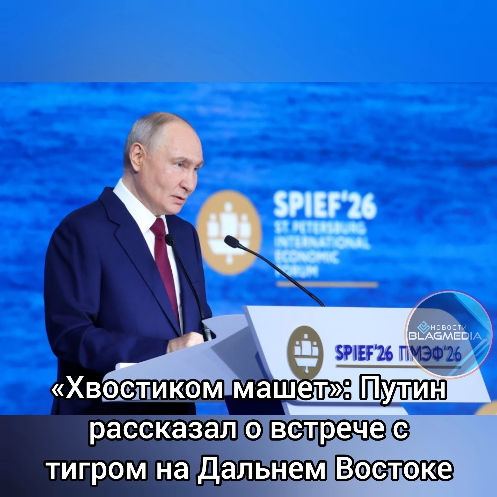 Президент России Владимир Путин рассказал историю о встрече с диким амурским тигром во ...