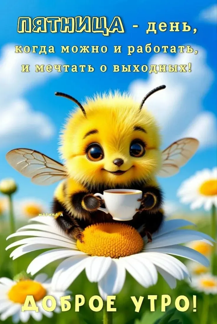 Рай открыток | Открытки 🥰