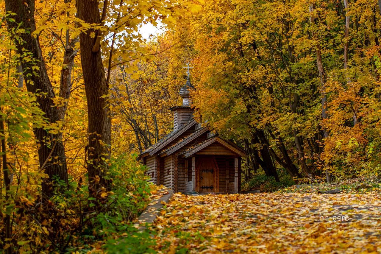 🍁Октябрь — прекрасное время для прогулок по почти секретной тропе.