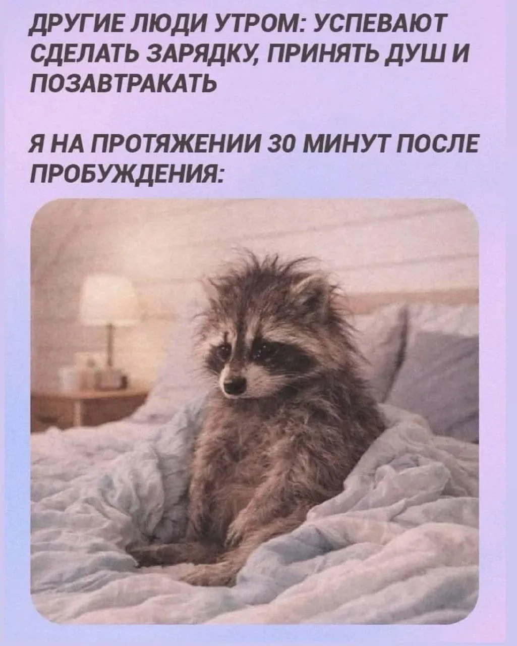 ПРУFИКИ В МАХ