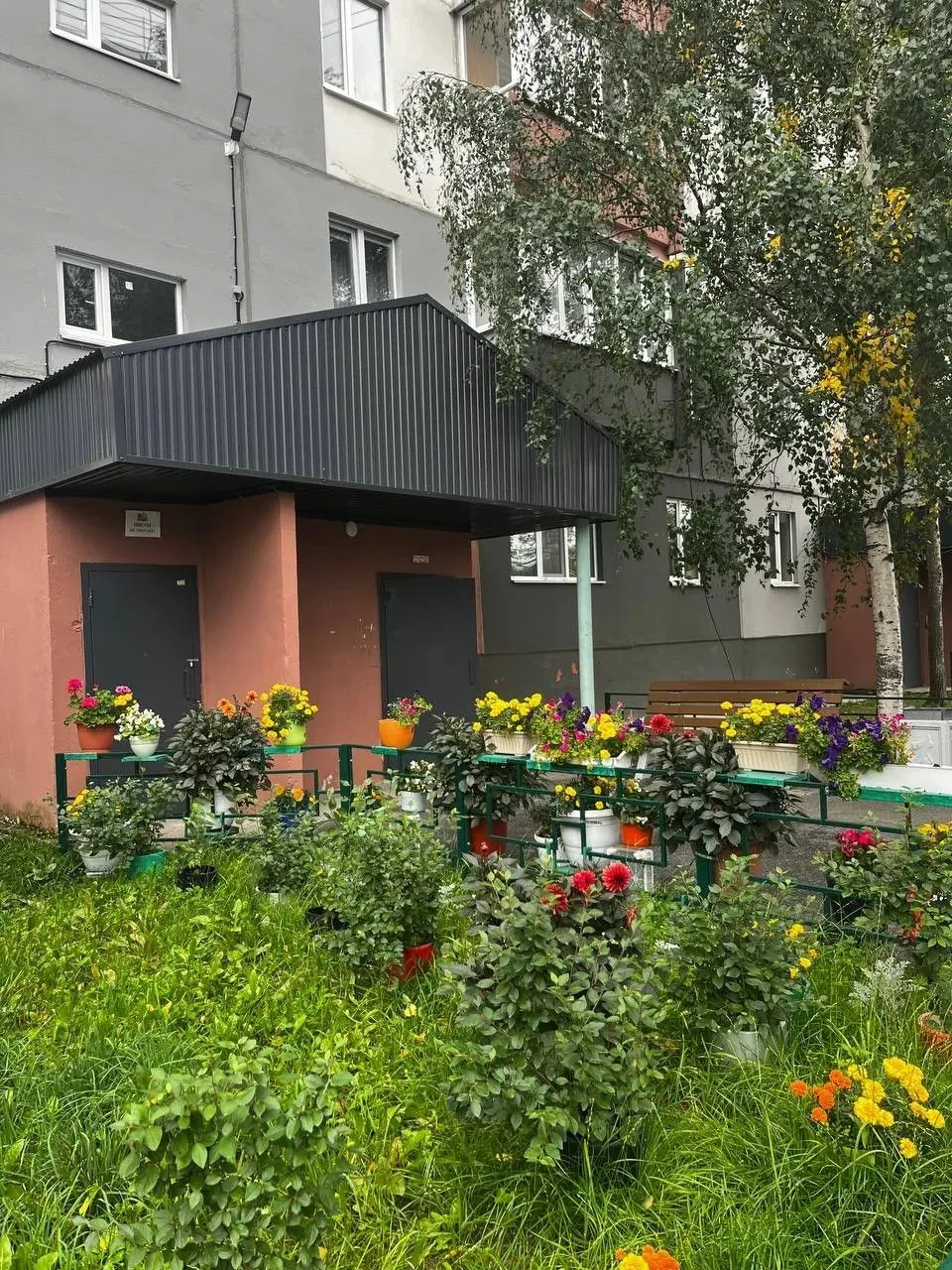 🌺 Красивый, цветущий дворик в Ноябрьске 🌺