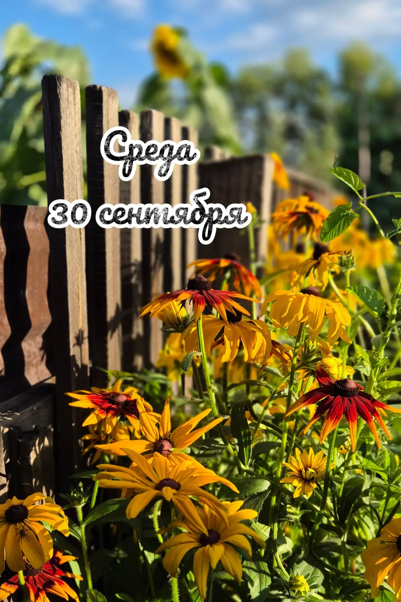 📅 Среда, 30 сентября: день открытия 🚪