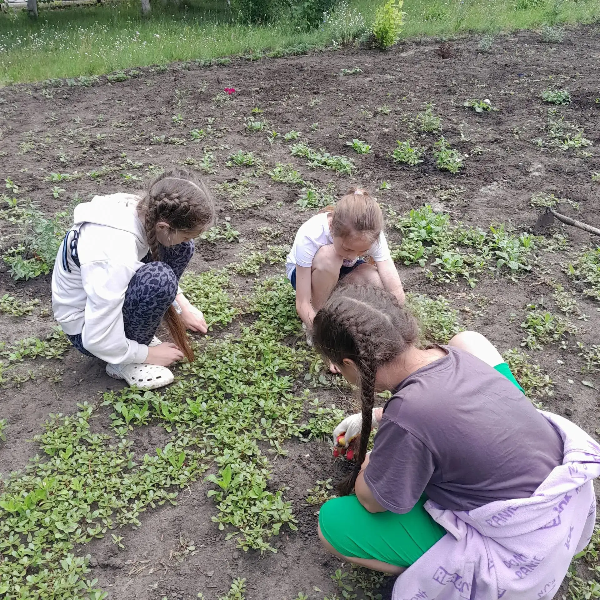 Трудовая практика в 4 классе: второй день — новые открытия и первые трудовые победы. Ре...