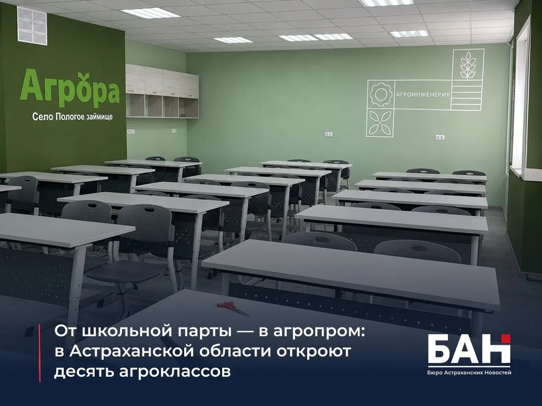 📌 Уже 1 сентября в пяти школах региона начнут работу десять профильных классов для 242...