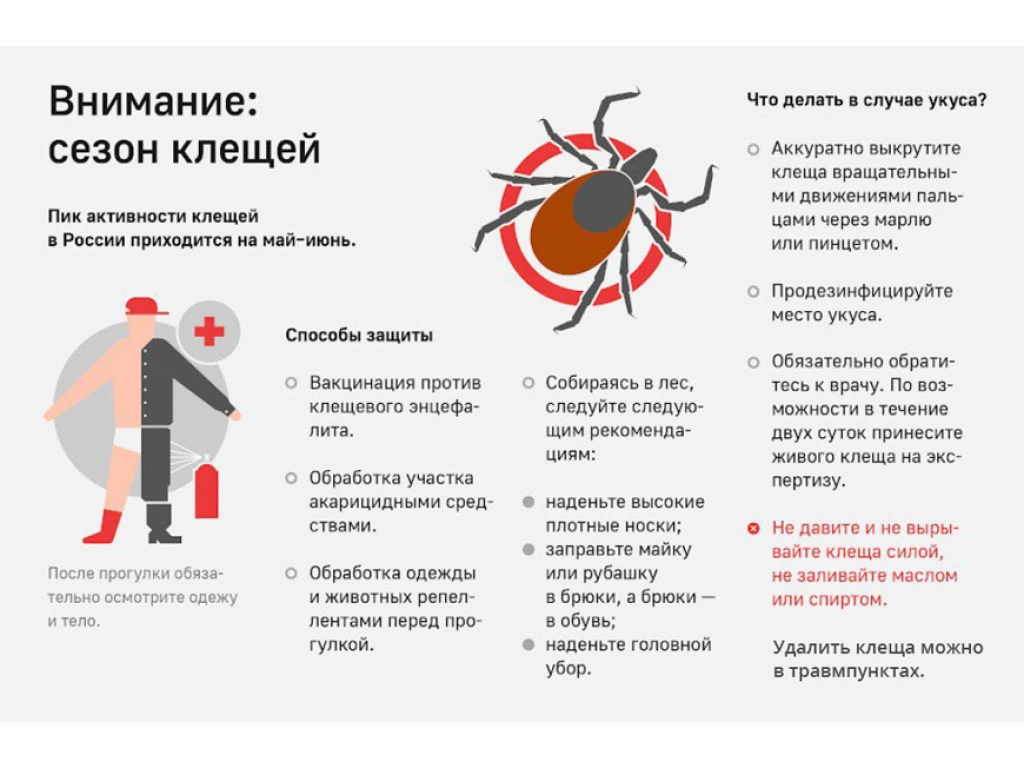 ПАМЯТКА ДЛЯ НАСЕЛЕНИЯ. 🕷Осторожно - клещи. 
 
✅С наступлением весны начинается сезон активности кле