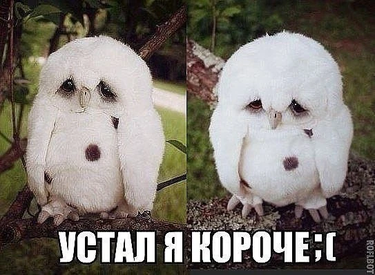 ДЕВА, 14 июня. Отдохни уже наконец, пожалуйста 

🪐Наш Бот со знаками судьбы