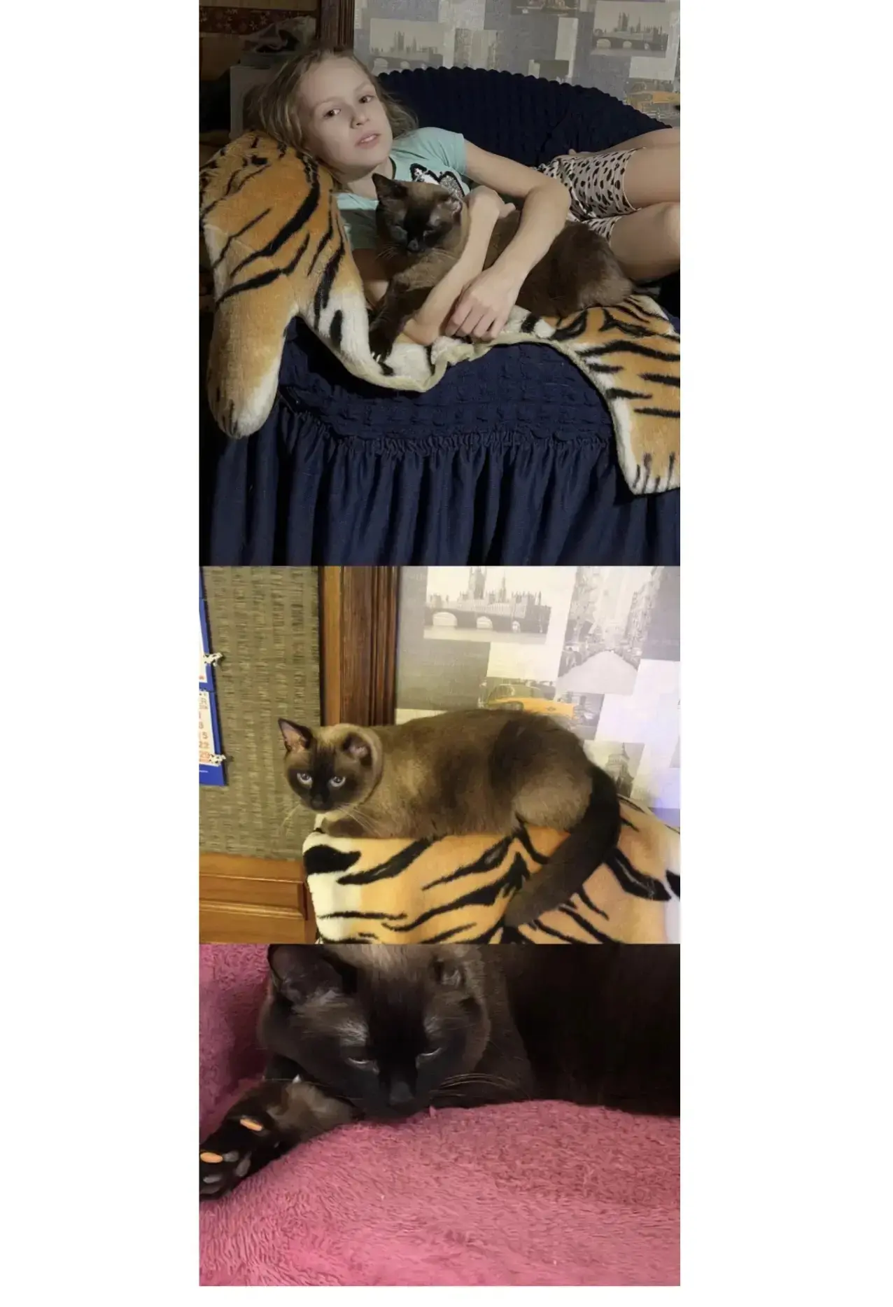 😺🐶Акция: «Моё сердце — их защита»